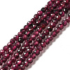 Natural Garnet Beads Strands X-G-I341-09A-1