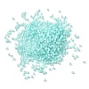 Cylinder Glass Seed Beads GLAA-NH0005-01L-2