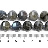 Natural Labradorite Beads Strands G-G182-B02-07-5