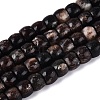 Natural Biotite Beads Strands G-Q616-02A-11-2