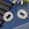 Alloy Rhinestone Shoe Decoration FIND-GF0006-01C-P-4