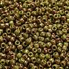 TOHO 6/0 Round Beads SEED-TR06-1209-3