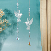 4Pcs Glass & Stainless Steel Hummingbird Hanging Suncatchers HJEW-FH00199-5