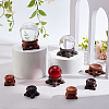8Pcs 6 Styles Flat Round Wood Display Base Stand Holder for Crystal Ball DJEW-WR0001-04-4