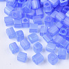 6/0 Transparent Glass Seed Beads X-SEED-S027-03B-06-3