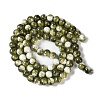 Baking Paint Glass Bead Strands GLAA-H031-01C-14-3