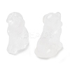 Natural Quartz Crystal Carved Dog Figurines DJEW-L023-A03-1