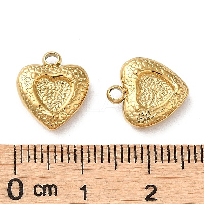 304 Stainless Steel Charms STAS-Q252-05G-1