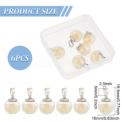 6Pcs Transparent Globe Glass Bubble Cover Pendants G-FG0001-06-1