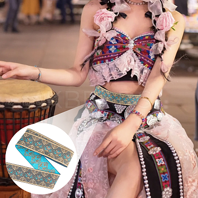 Ethnic Style Embroidery Polyester Ribbons OCOR-WH0077-32-1