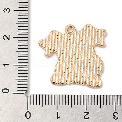 Alloy Pendant ENAM-Z008-01C-KCG-1