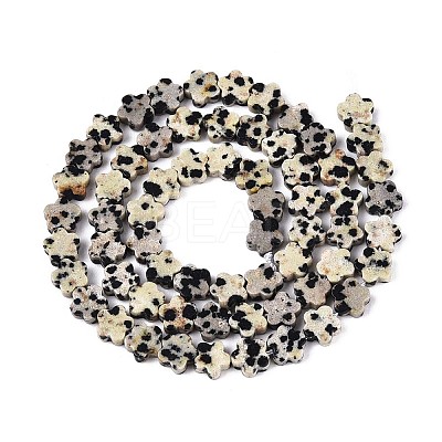 Natural Dalmatian Jasper Beads Strands G-N257-24A-04-1
