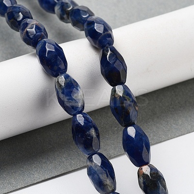 Natural Sodalite Beads Strands G-P520-C07-01-1