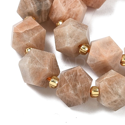 Natural Sunstone Beads Strands G-G271-A01-01-1