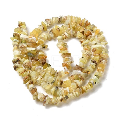 Natural Yellow Opal Chip Beads Strands G-G905-15-1