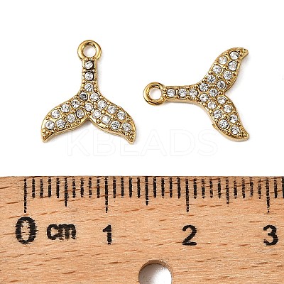 304 Stainless Steel Charms X-STAS-F321-01G-06-1