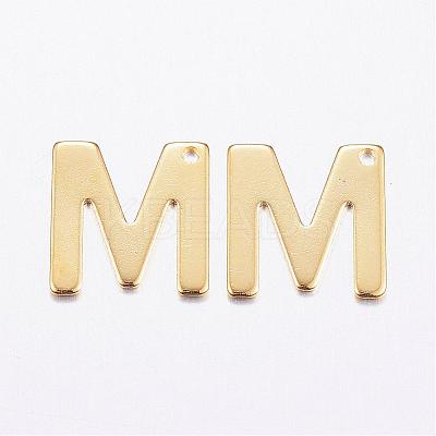 304 Stainless Steel Charms STAS-P141-M-1