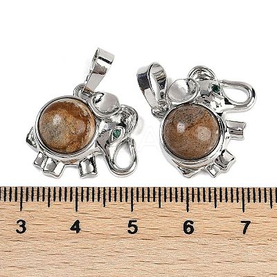 Natural Picture Jasper Pendants G-I374-A-P19-1