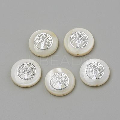 Natural Freshwater Shell Beads SHEL-Q011-006P-1