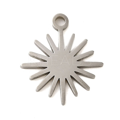 Non-Tarnish 304 Stainless Steel Charms LS-STAS-S123-01P-04-1