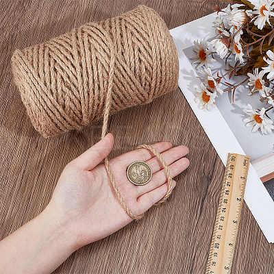 100M Jute Twisted Cord OCOR-WH0078-470B-1