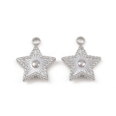 304 Stainless Steel Pendants LS-STAS-I363-14P-1