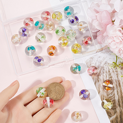 32Pcs 8 Styles Transparent Resin Inner Dried Flower Beads RESI-SC0005-63-1