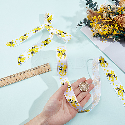 Polyester Ribbon OCOR-CY0004-19C-1