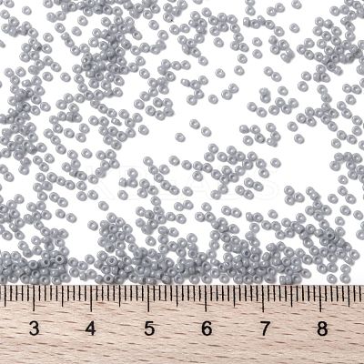 MIYUKI Round Rocailles Beads X-SEED-G009-RR0498-1