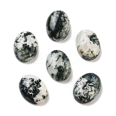 Natural Tree Agate Cabochons G-G145-01B-54-1