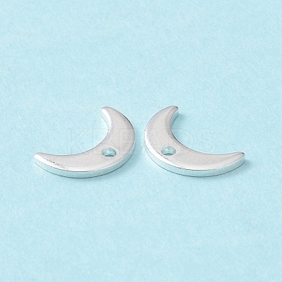 304 Stainless Steel Charms STAS-L234-073S-1