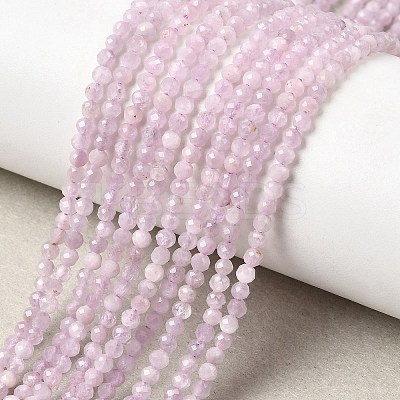 Natural Kunzite Beads Strands G-P603-C-2mm-05-1