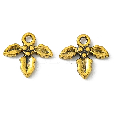 Tibetan Style Alloy Charms GLF10826Y-1