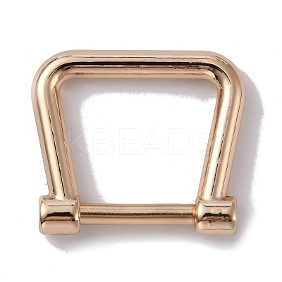 Alloy D-Rings with Screw Shackle FIND-WH0010-30-1