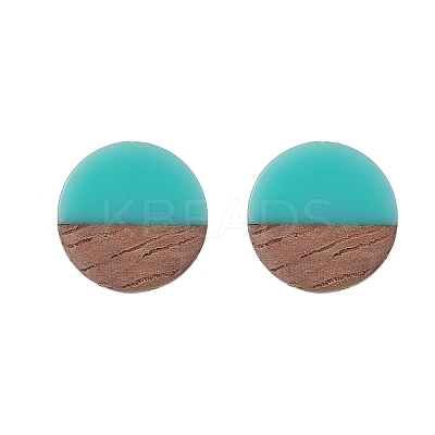 Resin & Wood Stud Earrings EJEW-JE05284-1