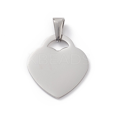 Non-Tarnish 304 Stainless Steel Pendants LS-STAS-G284-19P-1