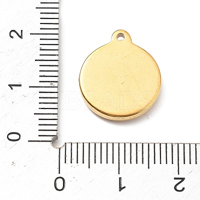 304 Stainless Steel Pendants STAS-I334-13G-1