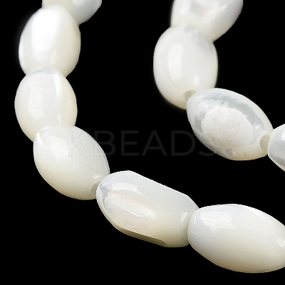 Natural Trochus Shell Beads Strands BSHE-E030-02A-1