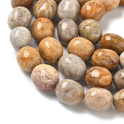 Natural Fossil Coral Beads Strands G-C038-02T-1
