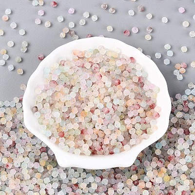 Frosted Glass Seed Beads SEED-N012-01A-1