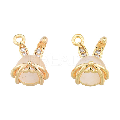 Brass Micro Pave Clear Cubic Zirconia Charms KK-N231-389-1