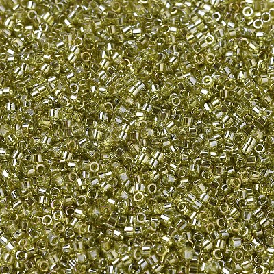 MIYUKI Delica Beads Small X-SEED-J020-DBS0124-1