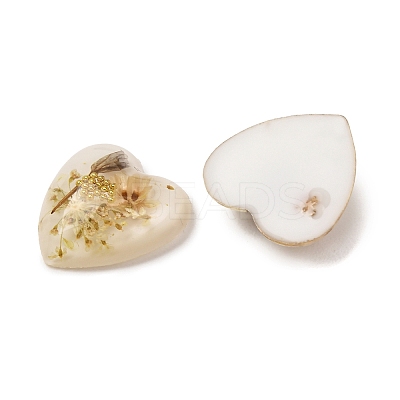 Transparent Resin Cabochons RESI-K033-12A-1
