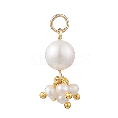 Potato Natural Cultured Freshwater Pearl Pendants PALLOY-JF04749-03-1