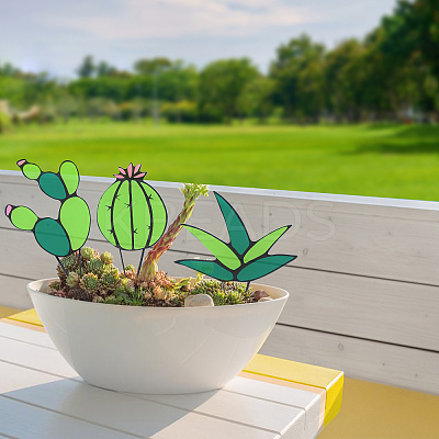 3Pcs 3 Style Stained Acrylic Cactus/Agave Aloe Potted Ornaments DJEW-GL0001-05-1