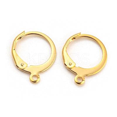 304 Stainless Steel Leverback Earring Findings X-STAS-D448-041G-1