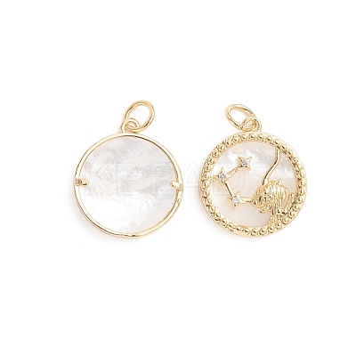Brass Micro Pave Cubic Zirconia Pendants ZIRC-E164-36A-G-1