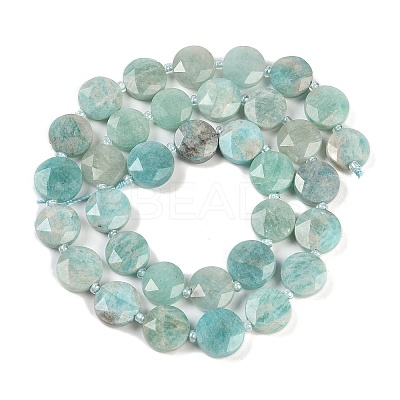 Natural Amazonite Beads Strands G-C116-A23-01A-1