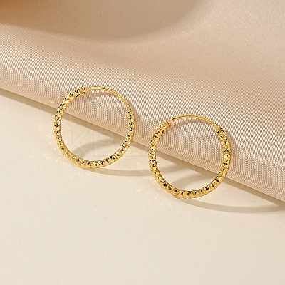 Chic Geometric Circle Brass Hoop Earrings for Women CW8514-1