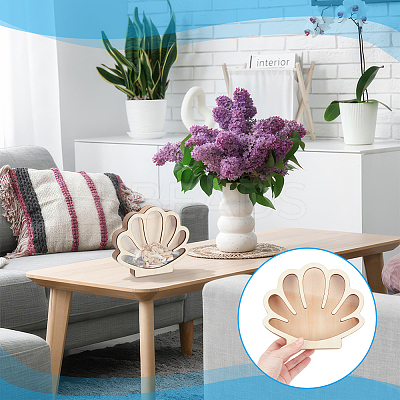 Shell Shaped Wooden Sea Shell Storage Display Cases with Visible Window ODIS-WH0080-04A-1